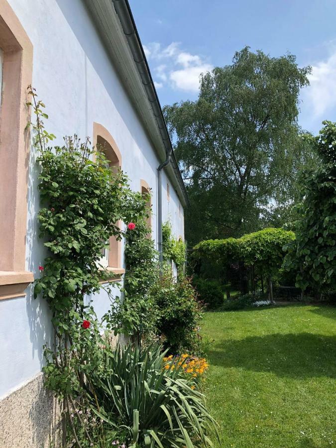 Ferienwohnung Maurer Hasborn-Dautweiler Εξωτερικό φωτογραφία