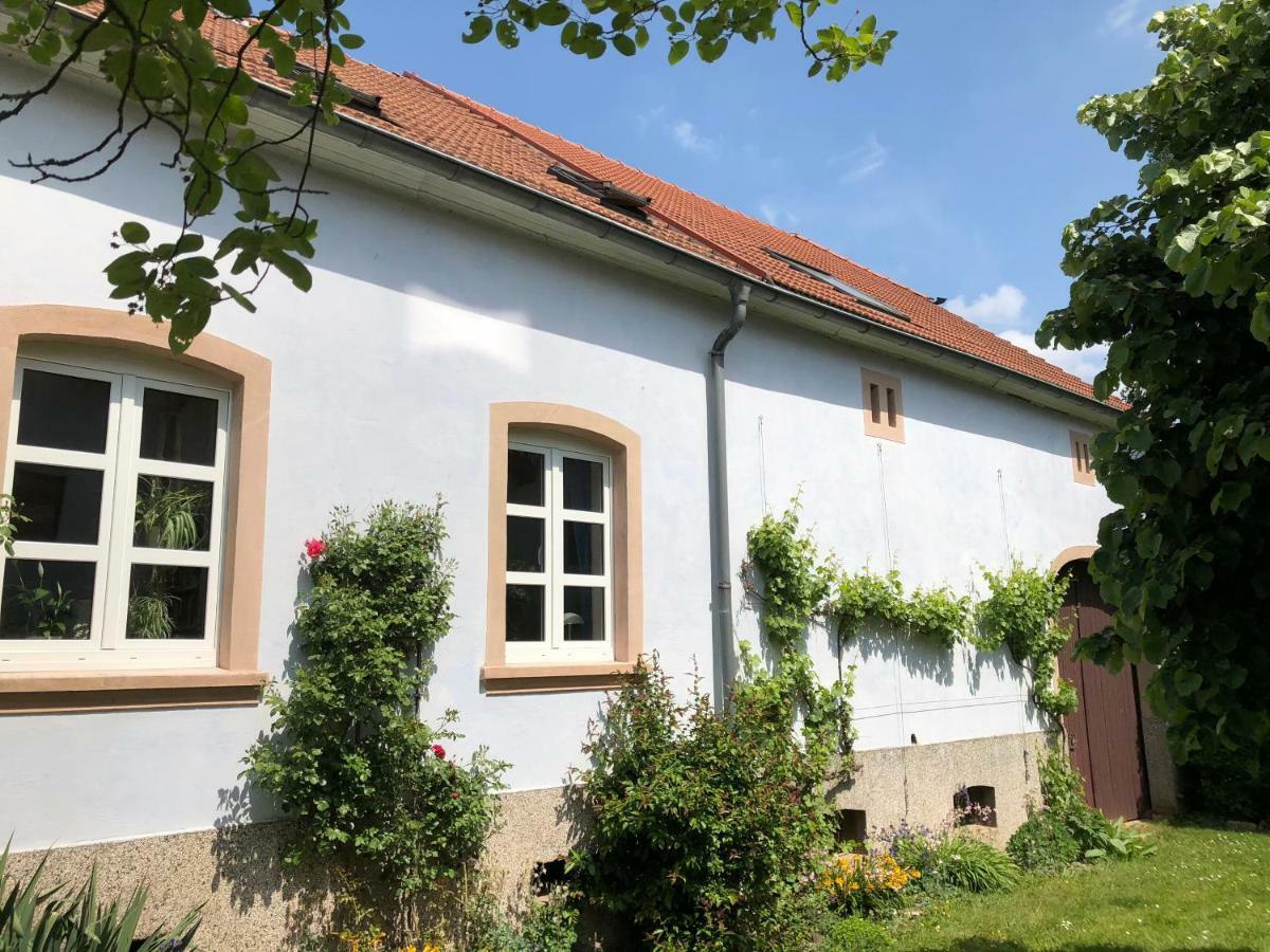 Ferienwohnung Maurer Hasborn-Dautweiler Εξωτερικό φωτογραφία