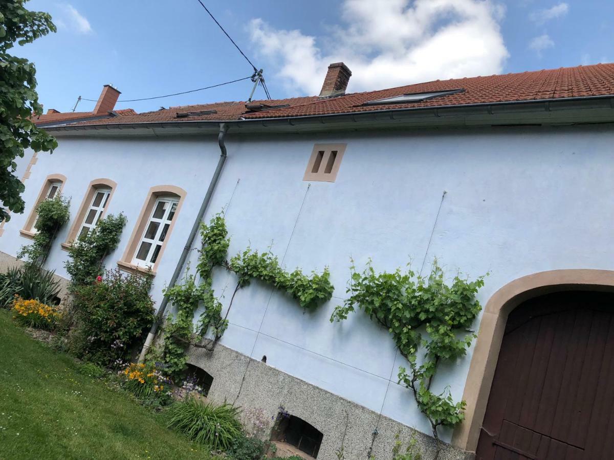 Ferienwohnung Maurer Hasborn-Dautweiler Εξωτερικό φωτογραφία